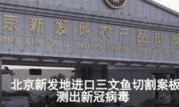 砧板刀具竟然是隱藏“殺手”？是時候擁有一個“它”了
