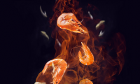 暢爽沐浴、自在由我，法迪歐爆款電熱水器雙十一好價(jià)提前享