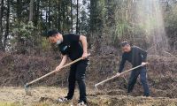 周寧煙草：打響春耕生產(chǎn)“第一仗”，讓拋荒撂荒耕地“重獲新生”