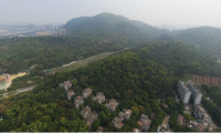 喜報丨深耕南沙，再添新秀