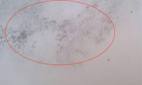 美巢易呱平膩?zhàn)臃?，耐水防潮更高環(huán)保，拒絕墻面潮濕發(fā)霉