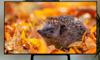 TCL C11G Pro換代首選？Mini LED真香神機，你值得擁有