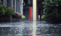 舟乘智木·不染潮時(shí)丨誰說躲不開梅雨煩惱，有他們，無懼潮濕！