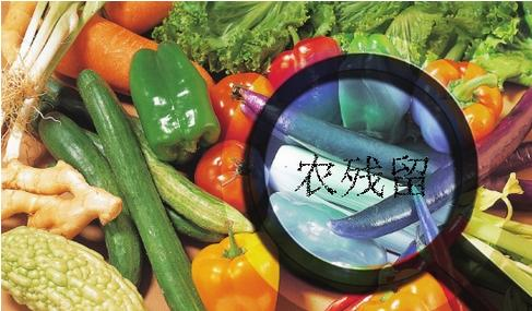 家庭食品安全我們該怎么辦？食材凈化機(jī)有效嗎？