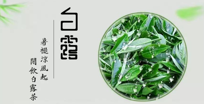 金秋好物大賞：白露為霜的季節(jié)，怎么能少得了碧然德濾水壺