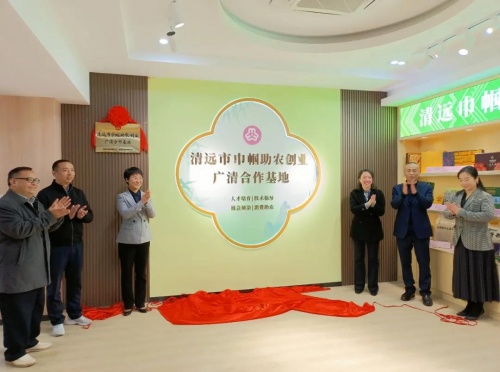 巾幗發(fā)力！清遠市“鄉(xiāng)村振興巾幗行動”號角再起！