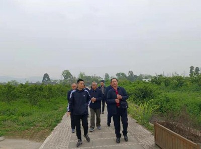 落實兩會精神 助力鄉(xiāng)村振興——龍泉驛區(qū)老科協(xié)到科技助農(nóng)示范點調(diào)研