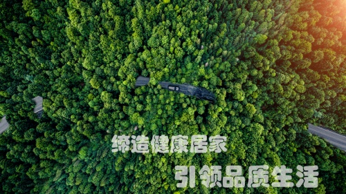 從探索到標(biāo)桿澳思歐恩為板材走過的創(chuàng)新路