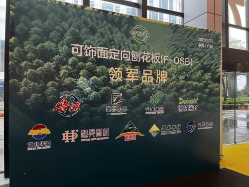 喜報丨澳思柏恩榮獲可飾面定向刨花板領(lǐng)軍品牌！