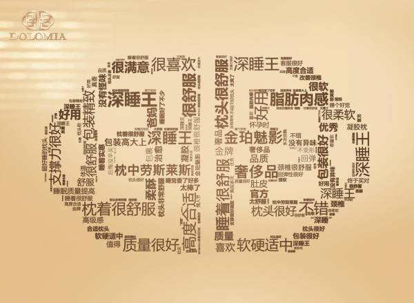高階深睡枕的代表DOLOMIA，貫穿精密技藝與手工創(chuàng)意，成為高收入群體心儀之選