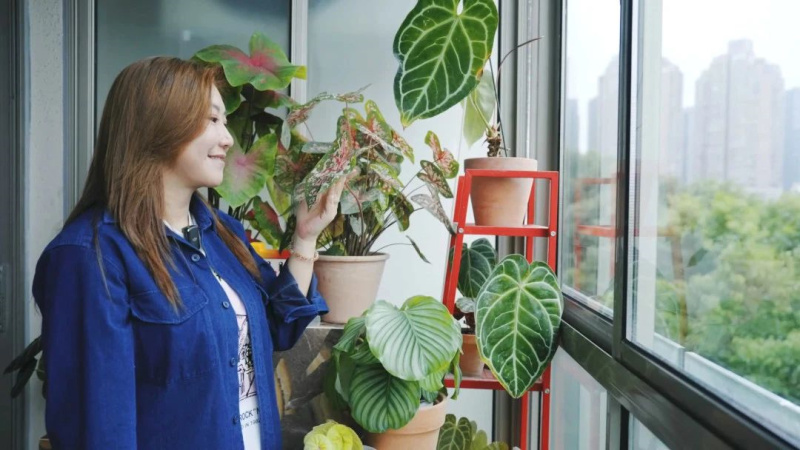 范湉湉的“花花世界”，藝術(shù)巖板「繁花」與冠珠韶華「南山蘆花」搭配亮了
