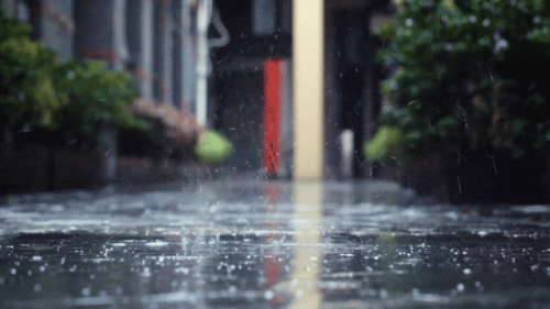舟乘智木·不染潮時丨誰說躲不開梅雨煩惱，有他們，無懼潮濕！
