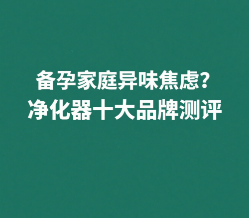備孕家庭異味焦慮？除甲醛除煙味凈化器十大品牌測評