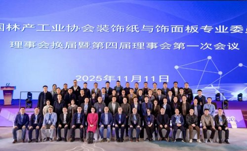 燃爆臨安！2025全球飾面大會啟幕，千年舟以東方美學(xué)定義家居新范式